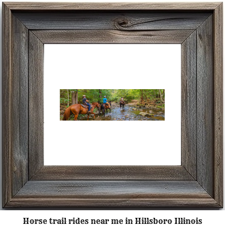 horse trail rides near me in Hillsboro, Illinois